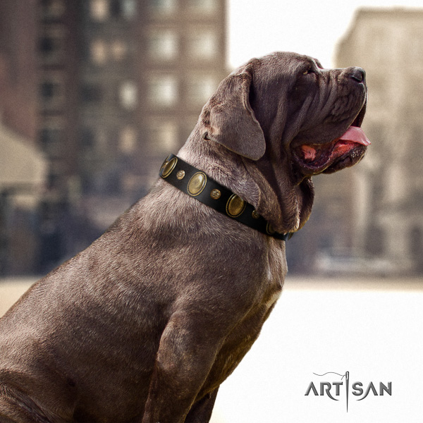 Mastino Neapoletano impressive adorned full grain natural leather dog collar for fancy walking