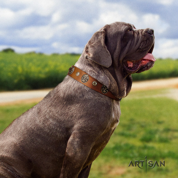 Mastino Neapoletano top notch decorated full grain natural leather dog collar for handy use