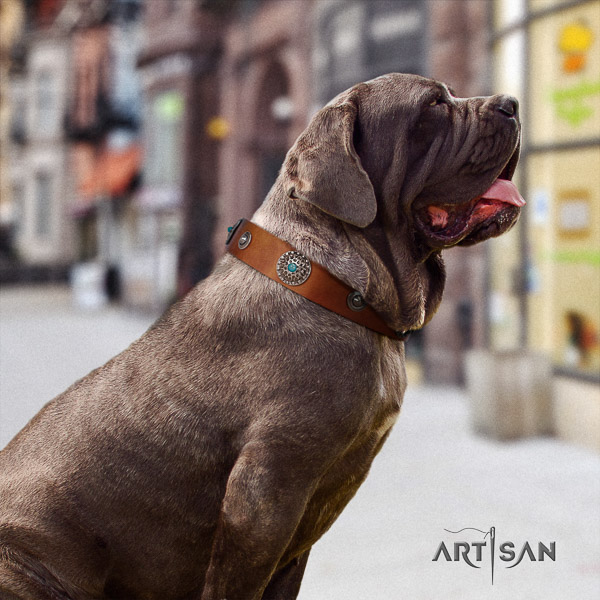 Mastino Neapoletano designer studded full grain genuine leather dog collar for walking