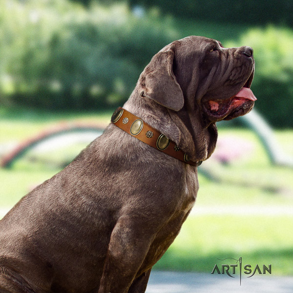 Mastino Neapoletano top notch decorated full grain leather dog collar for walking