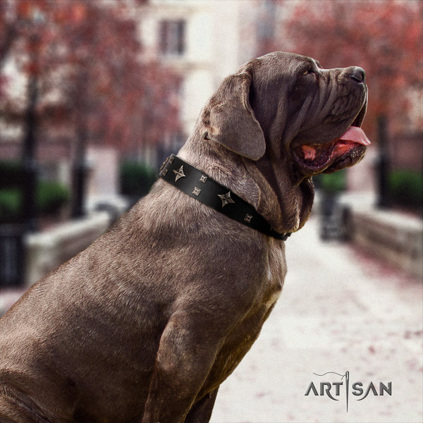 Mastino Neapoletano awesome decorated full grain natural leather dog collar for handy use