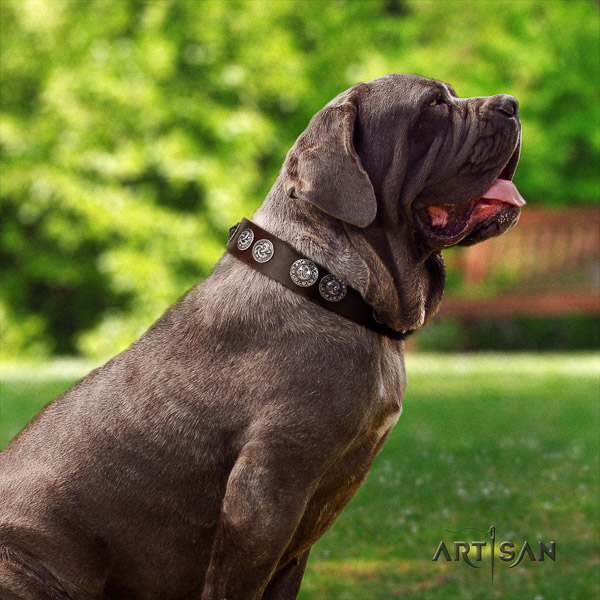 Mastino Neapoletano significant decorated natural leather dog collar for comfy wearing