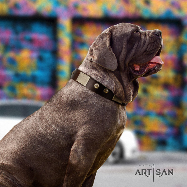 Mastino Neapoletano incredible embellished full grain genuine leather dog collar for stylish walking