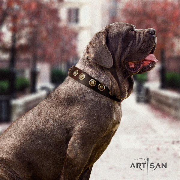 Mastino Neapoletano unique studded genuine leather dog collar for walking