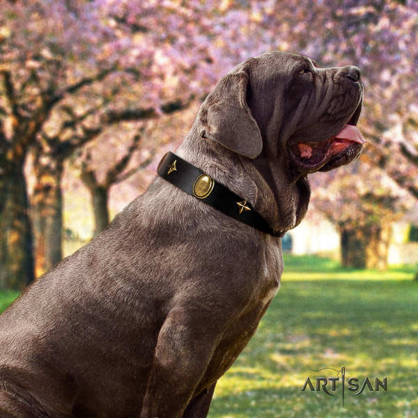 Mastino Neapoletano stylish decorated genuine leather dog collar for stylish walking