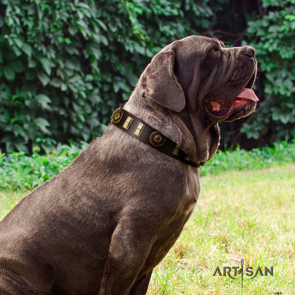 Mastino Neapoletano unique adorned natural leather dog collar for daily use