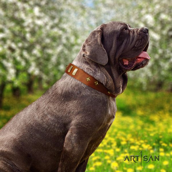 Mastino Neapoletano trendy embellished natural leather dog collar for stylish walking
