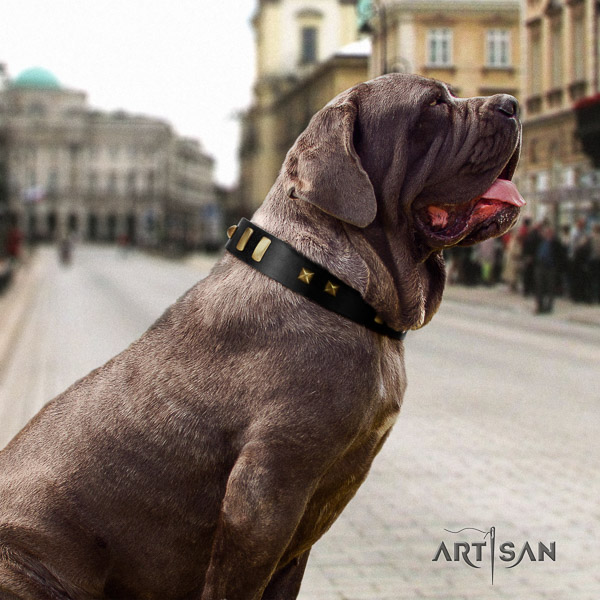 Mastino Neapoletano unusual embellished full grain genuine leather dog collar for comfy wearing