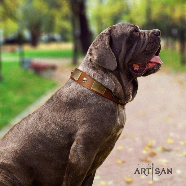 Mastino Neapoletano stylish adorned full grain leather dog collar for stylish walking