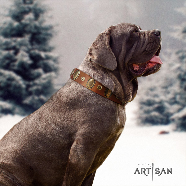 Mastino Neapoletano stunning embellished full grain leather dog collar for everyday walking