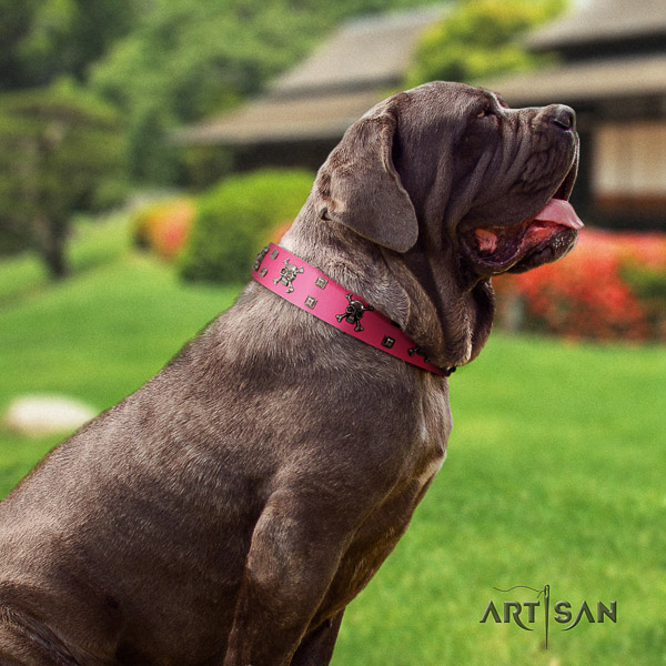 Mastino Neapoletano exquisite adorned full grain leather dog collar for comfy wearing