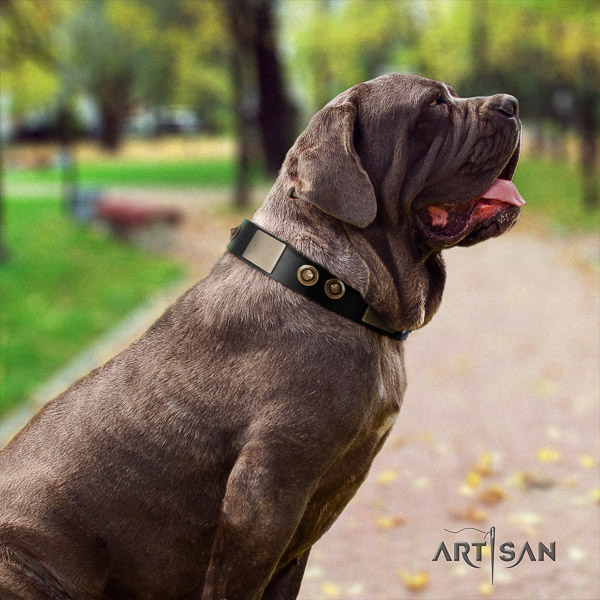 Mastino Neapoletano stylish design decorated full grain genuine leather dog collar for comfy wearing