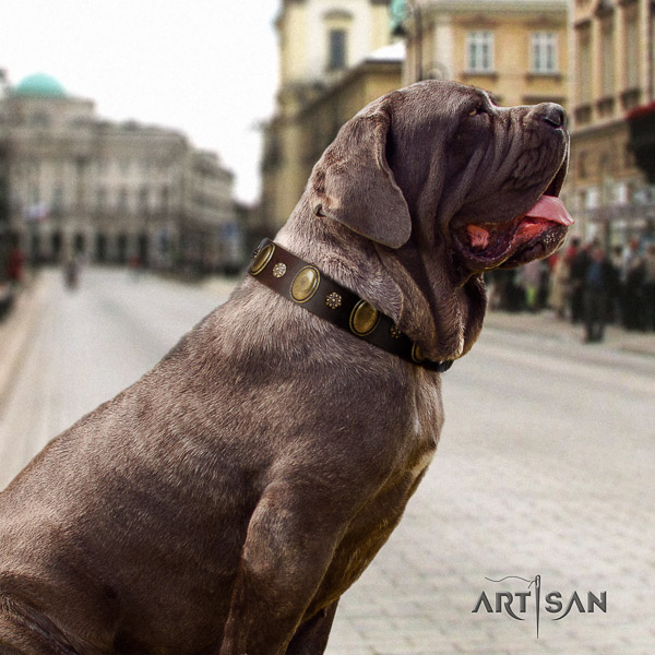 Mastino Neapoletano unusual studded full grain natural leather dog collar for daily walking