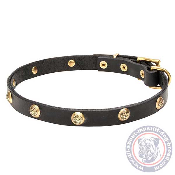Everyday leather dog collar with studs