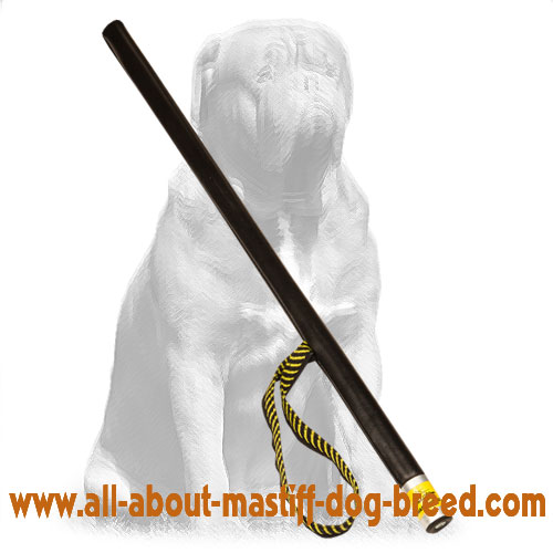 Durable Dog Training Stick Pet Training Agitation Whip Pet Toys