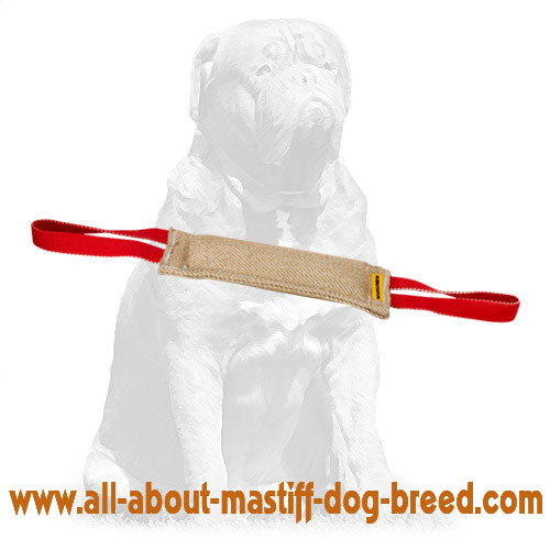 Jute dog clearance tug