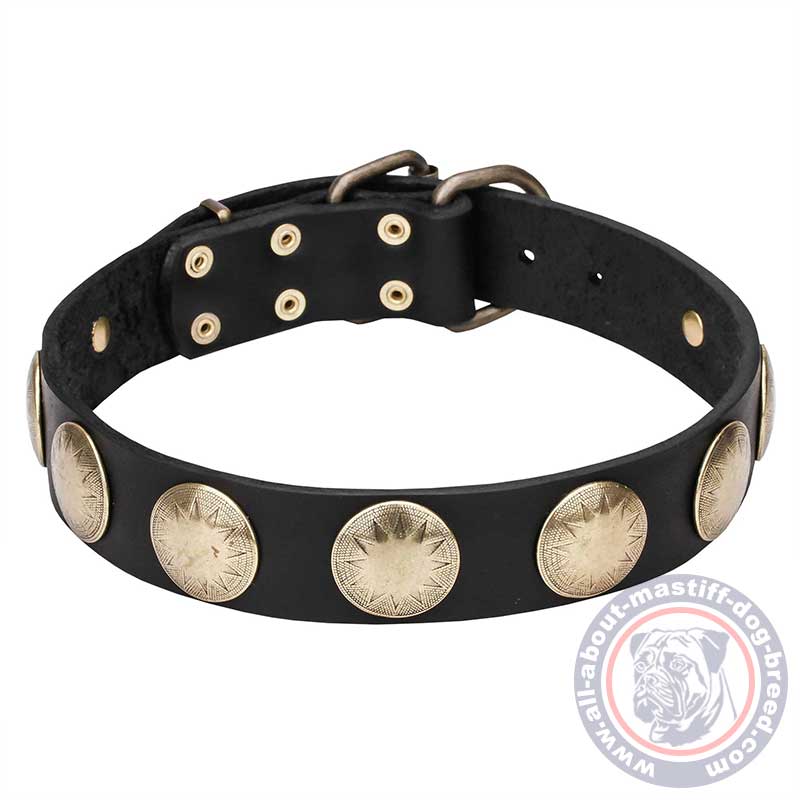 Leather brass 2025 dog collar