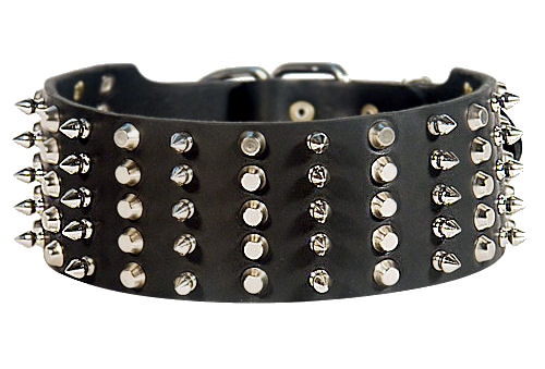 3 inch Spiked and Studded Mastiff collar : Mastiff harness, Mastiff ...