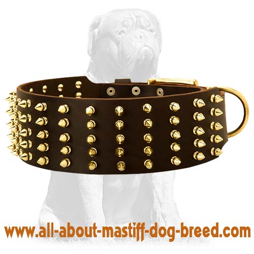 Golden Spikes Genuine Leather Dog Collar