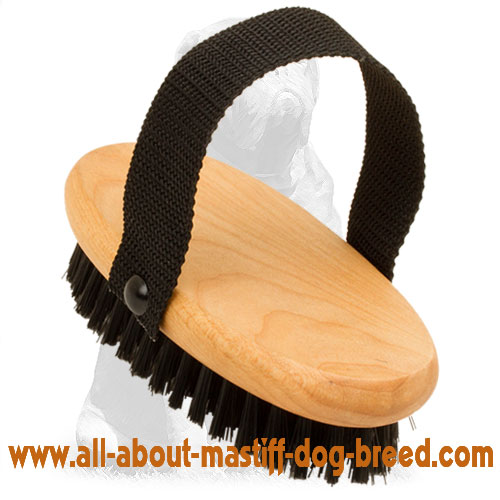 Mastiff Bristle Dog Brush for Everyday Grooming Mastiff harness