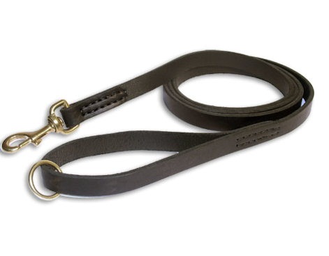 strong leather dog leads