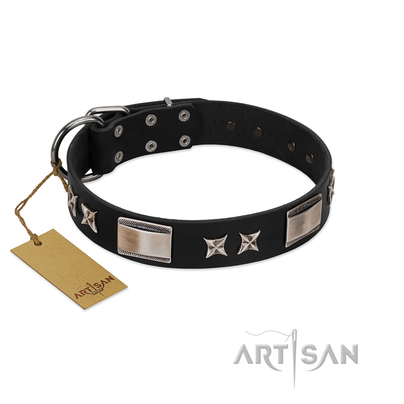 Pin by Asia on Ruff  Studded leather, Black leather collar, Leather dog  collars