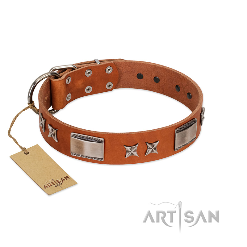 Sweet Biscuit FDT Artisan Tan Leather Dog 【Collar】 with Stars