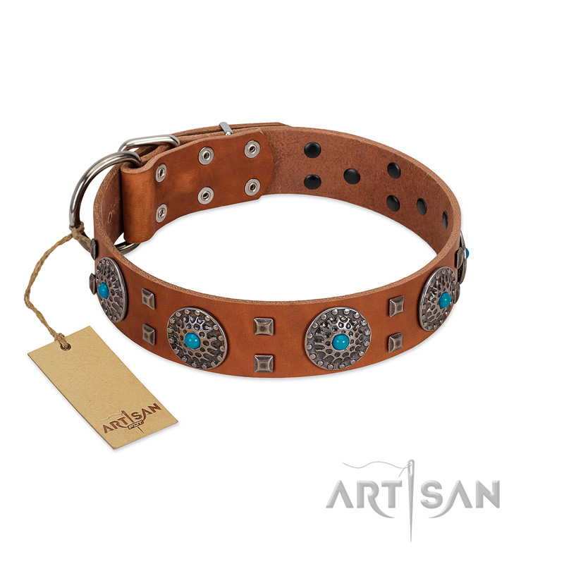 Turquoise stone dog outlet collar