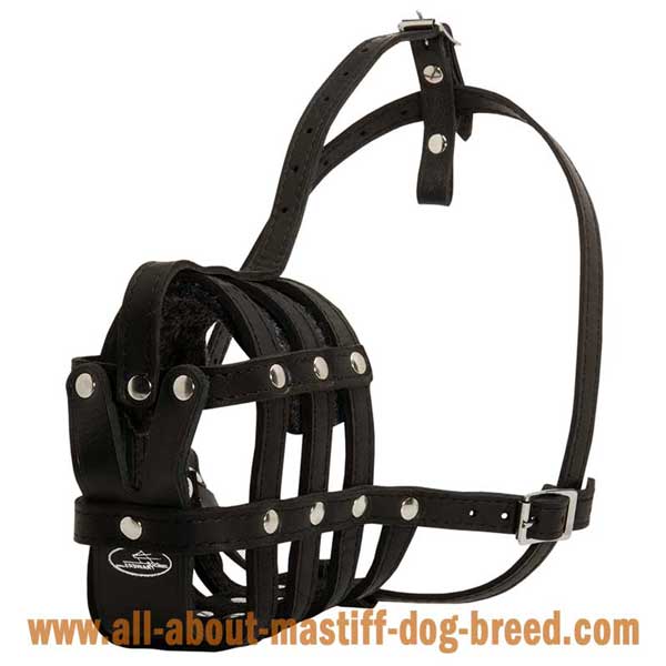 Light wight German Mastiff muzzle with 4 way adjustable straps